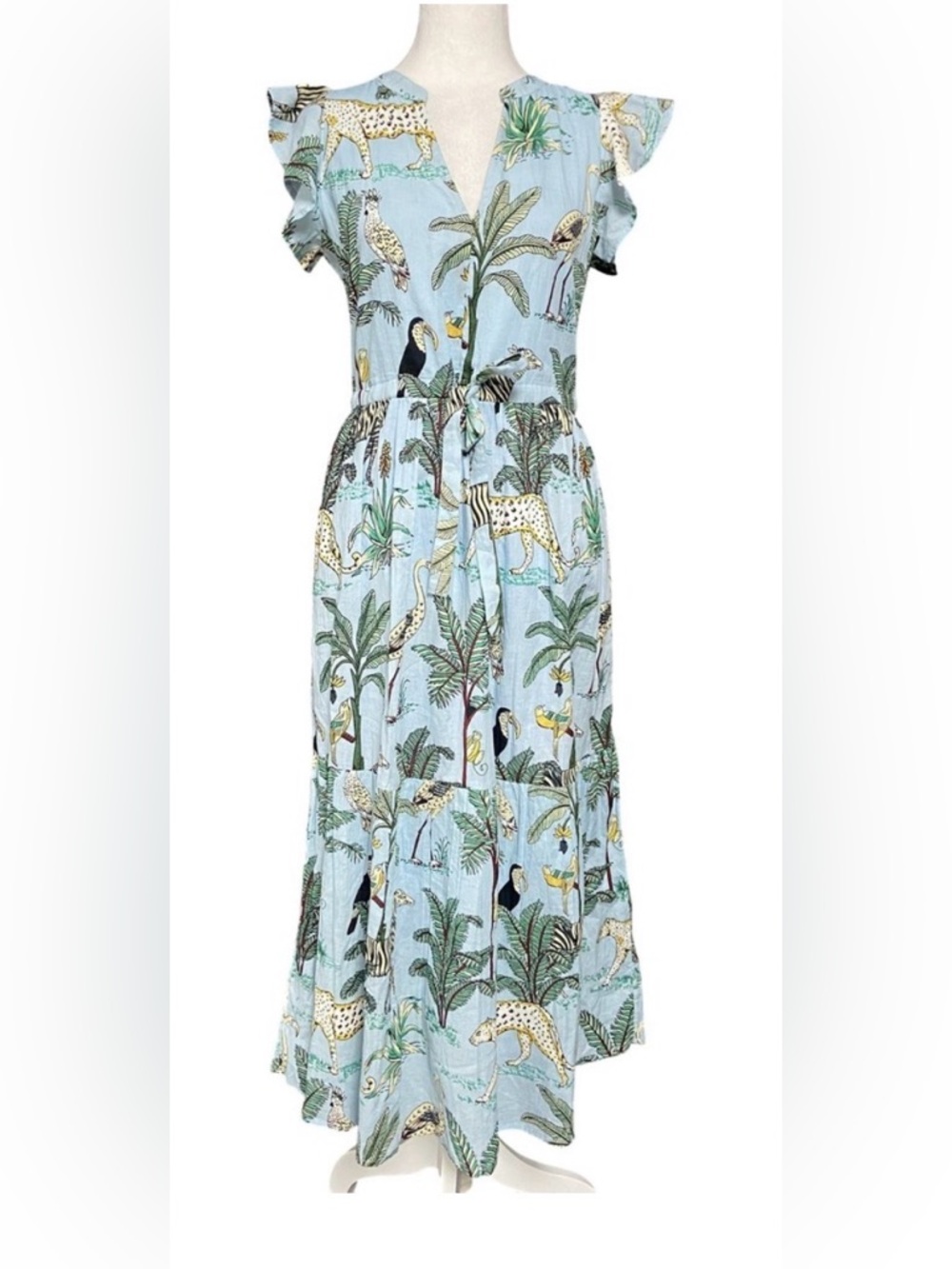Charleston Shoe Co Charlee Dress Aubrey Print Maxi Dress size Small - Light Blue